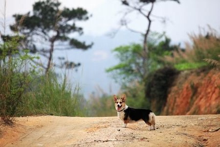 韩信把李白淦哭了